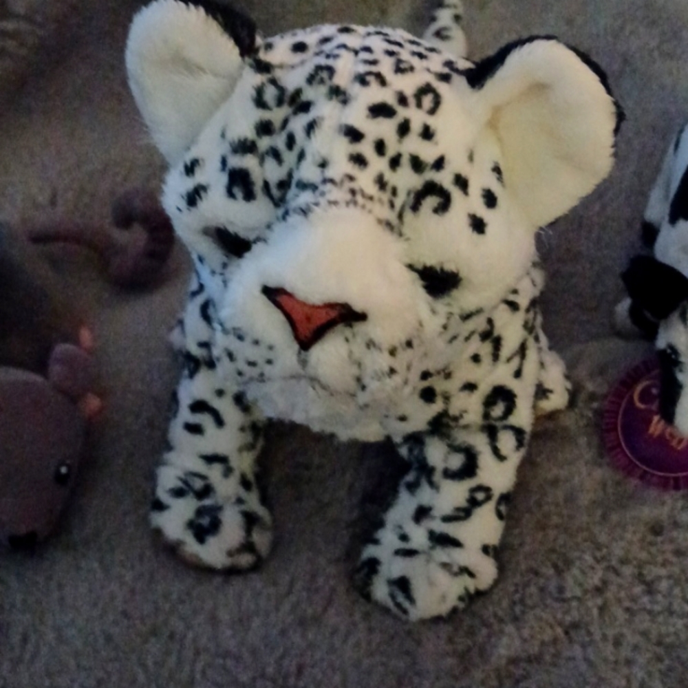 FUR REAL leopard 🐆 and his pals #777